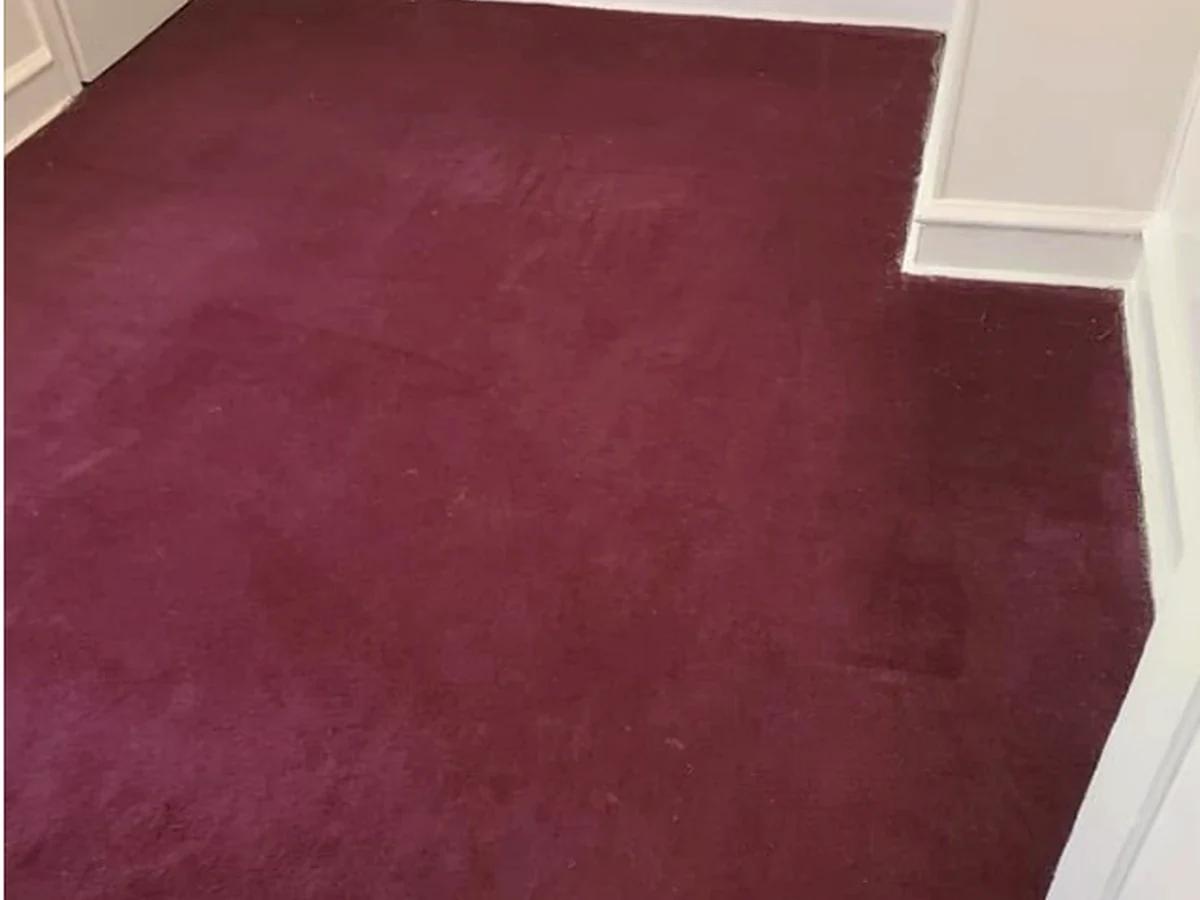 Carpet after cleaning