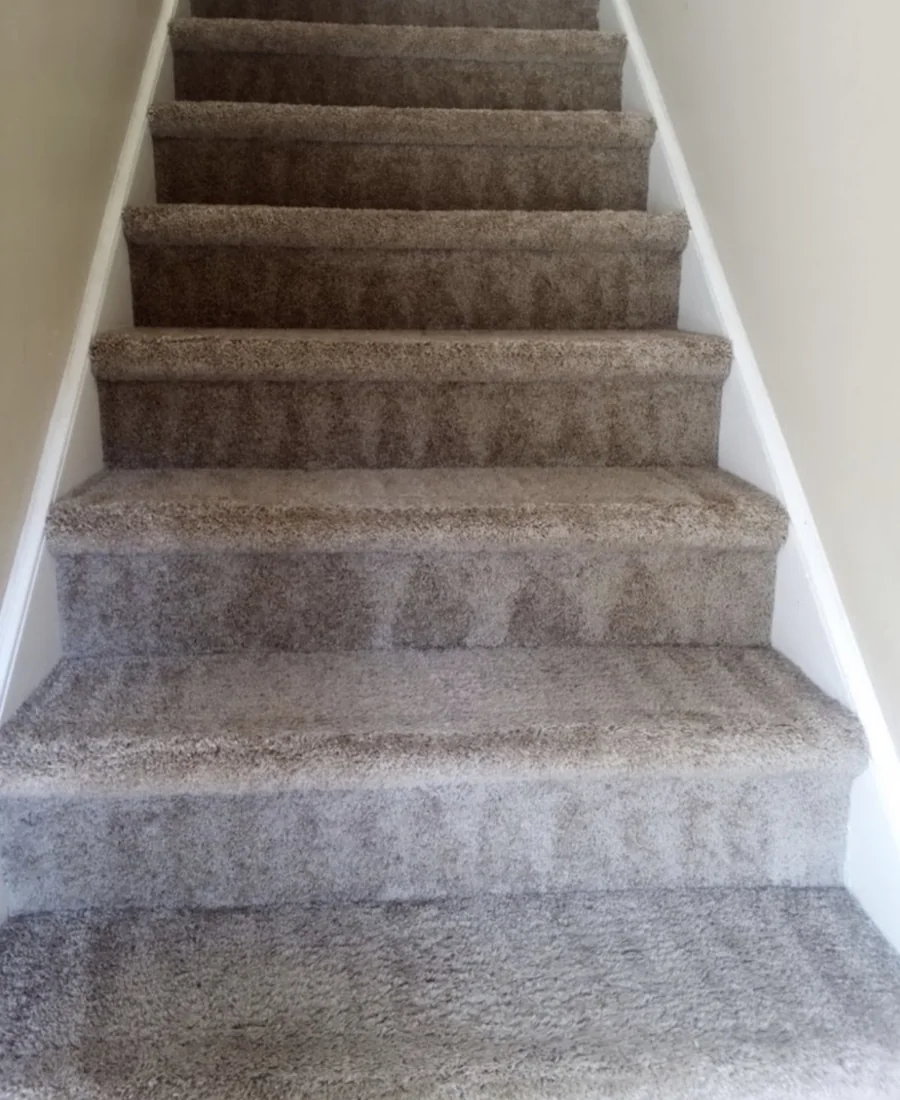 Carpeted stairs after cleaning